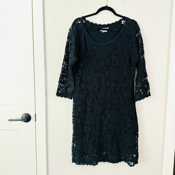 Velvet By Graham & Spencer Embroidered Lace Sheath Knee Length Dress Size XL - Picture 1 of 9